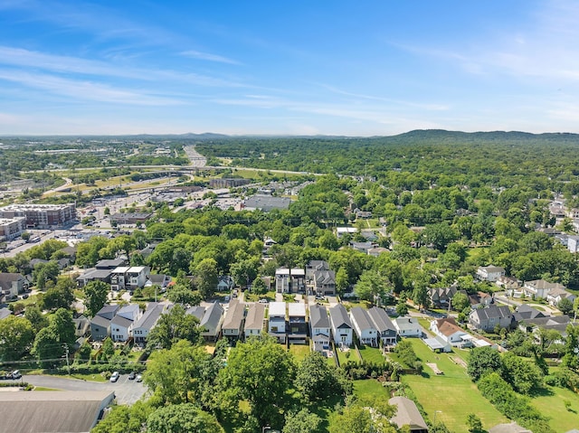 drone / aerial view