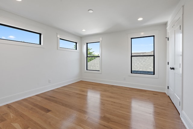 spare room with a healthy amount of sunlight and light wood-type flooring