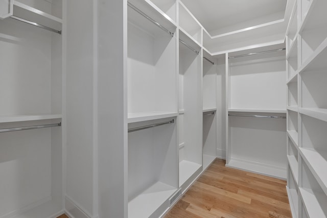 spacious closet featuring wood-type flooring