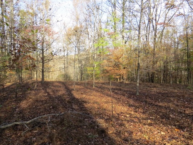 0 Black Rd, Prospect TN, 38477 land for sale