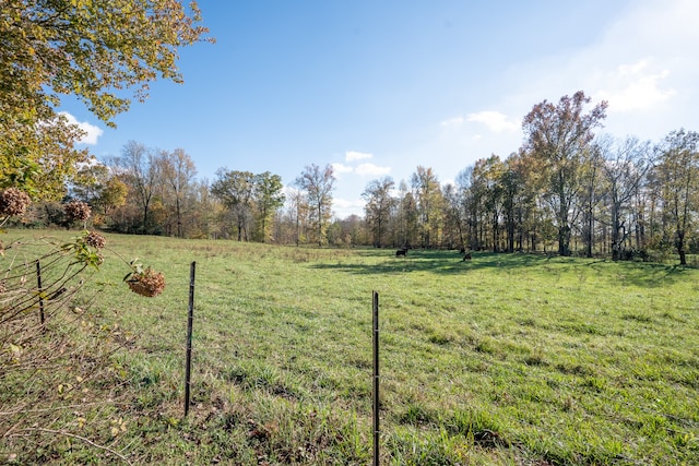 view of yard featuring a rural view