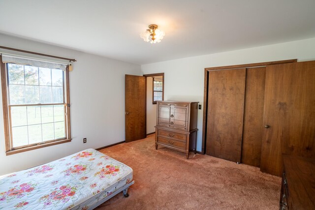 5225 Pumping Station Rd, Iron City, TN 38463 - photo 25