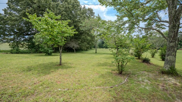 5225 Pumping Station Rd, Iron City, TN 38463 - photo 44