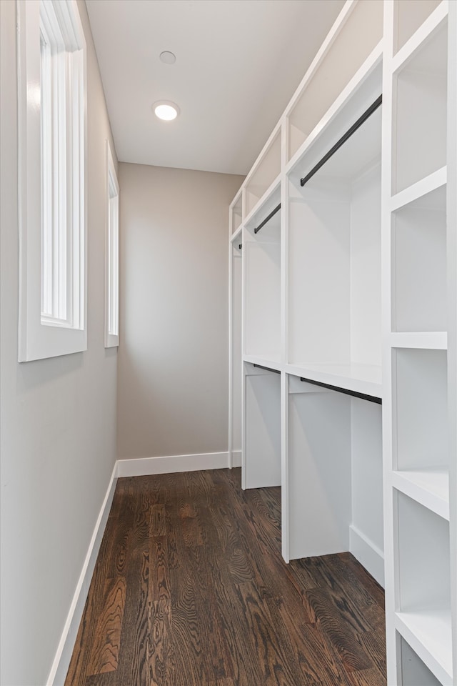 walk in closet with dark hardwood / wood-style floors