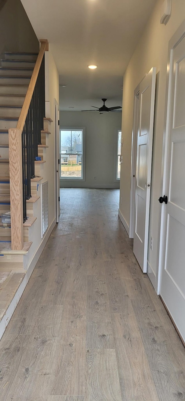 corridor featuring light hardwood / wood-style floors and a wealth of natural light