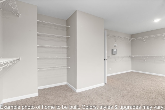 walk in closet featuring electric panel and carpet