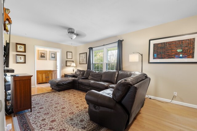 living room with ceiling fan and light wood-type flooring