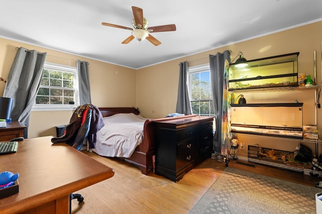 bedroom with multiple windows, ceiling fan, ornamental molding, and light wood-type flooring