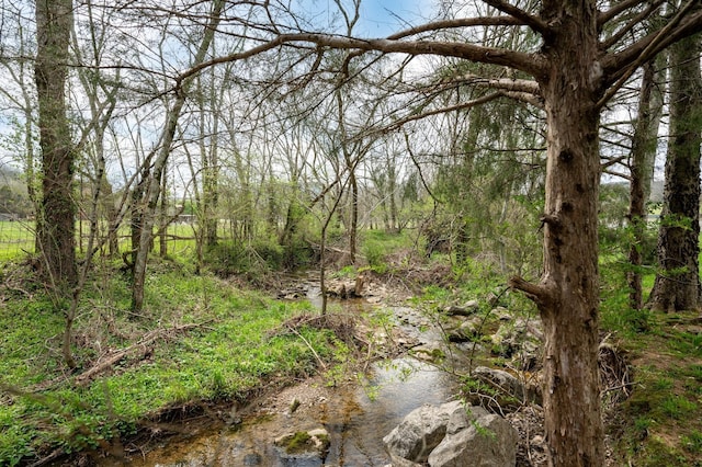 view of local wilderness