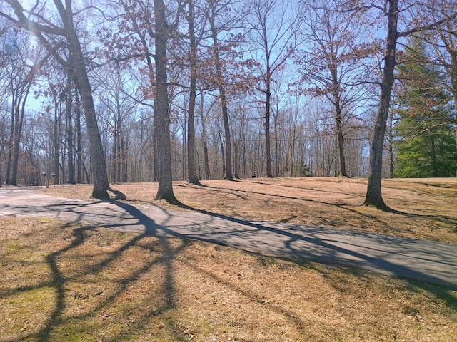 view of road