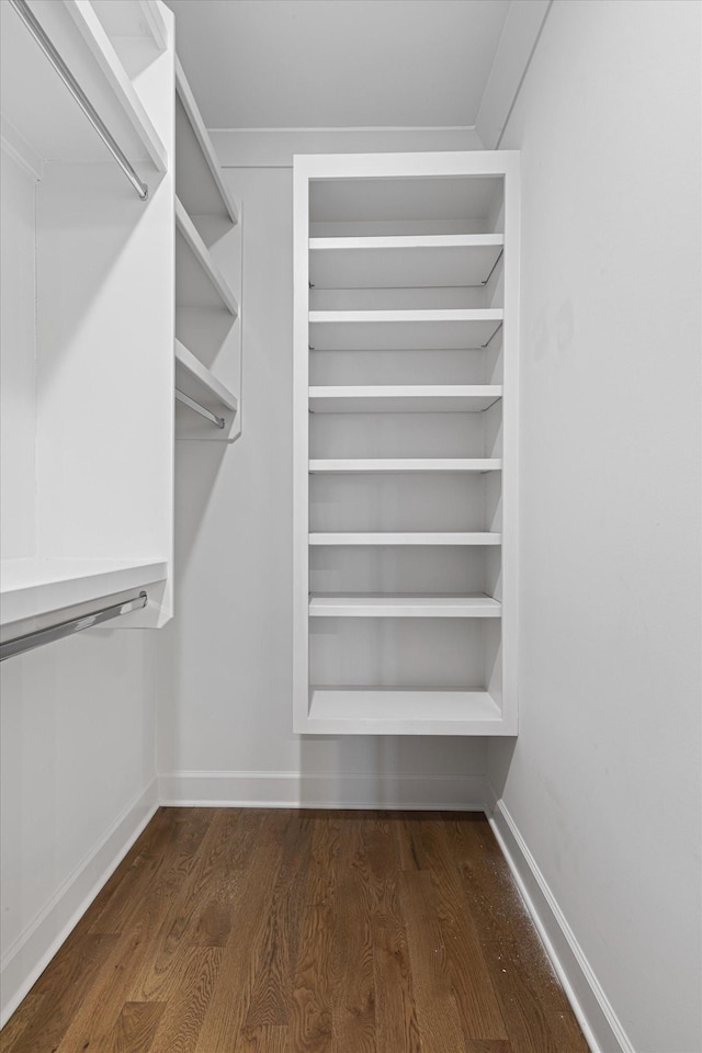 walk in closet with dark hardwood / wood-style floors