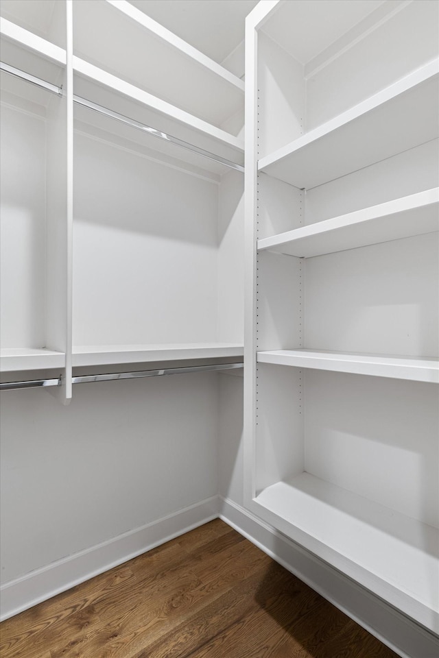 spacious closet featuring dark wood-type flooring