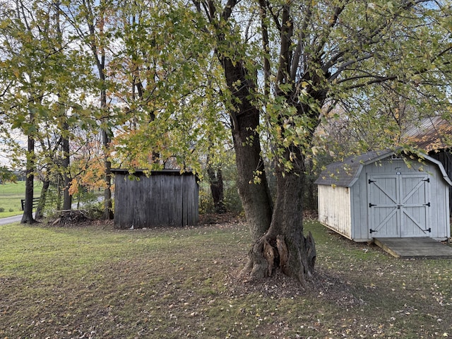 view of yard with a shed