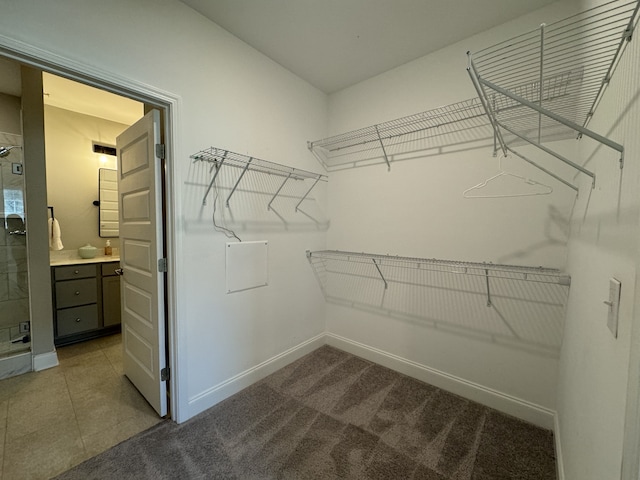 spacious closet featuring carpet floors