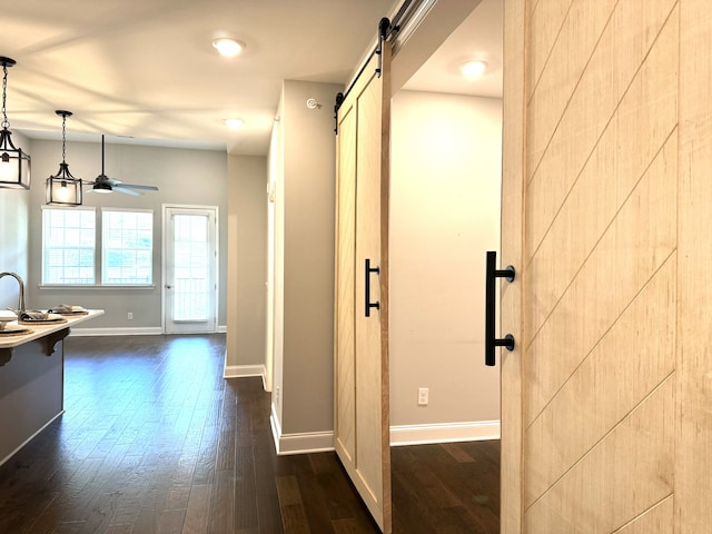 corridor with a barn door and dark hardwood / wood-style flooring