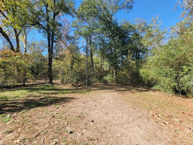 view of local wilderness