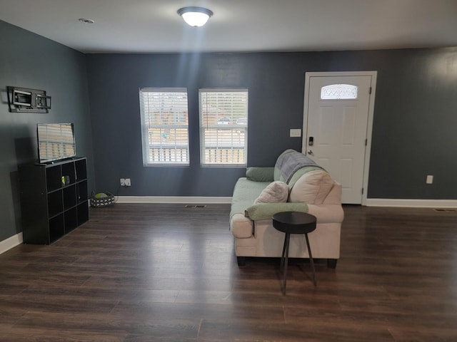 living area featuring dark wood-type flooring