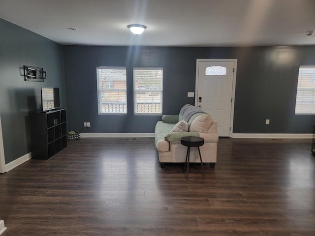 living area with dark hardwood / wood-style floors