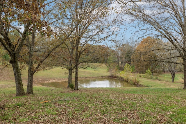 view of water feature