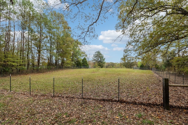 view of yard featuring a rural view