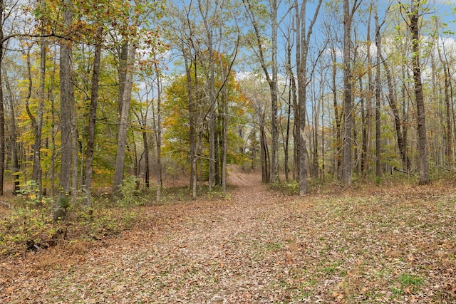 view of nature