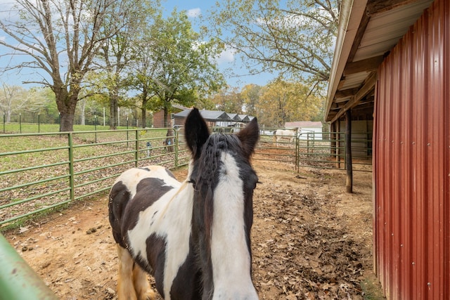 view of horse barn