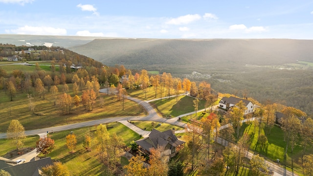 birds eye view of property featuring a mountain view