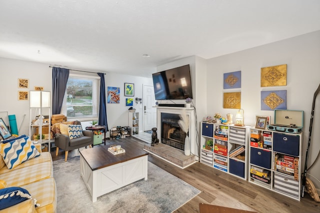 living room featuring a fireplace and light wood-type flooring