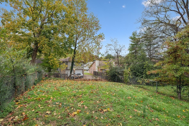 view of yard with a garage