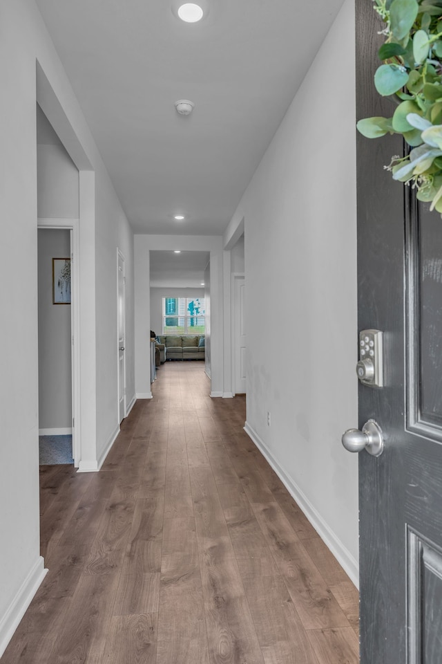 corridor with dark wood-type flooring