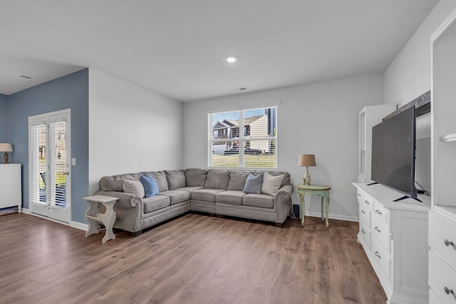 living room featuring wood-type flooring