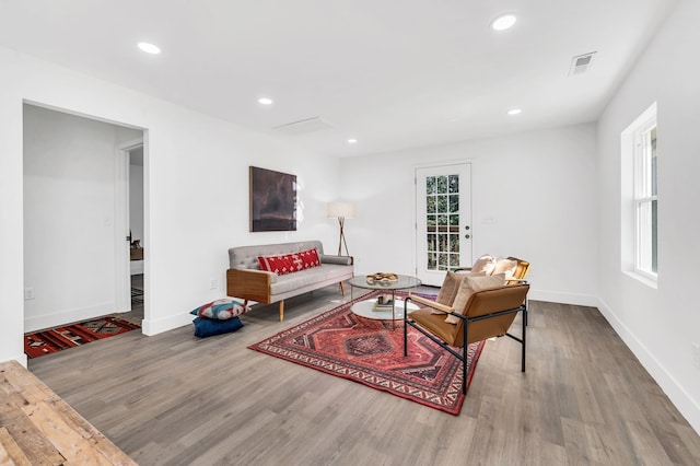 living room with wood-type flooring