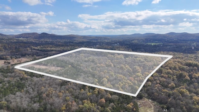 10636 Christiana Fosterville Rd, Bell Buckle TN, 37020 land for sale