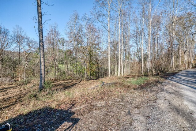 0 Crouch Rd, Sparta, TN 38583 - photo 15