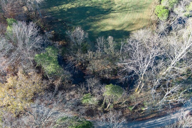 0 Crouch Rd, Sparta, TN 38583 - photo 11