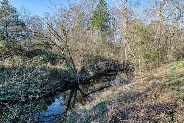 0 Crouch Rd, Sparta, TN 38583 - photo 13