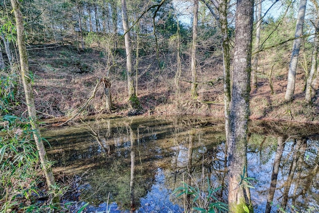 0 Crouch Rd, Sparta, TN 38583 - photo 7