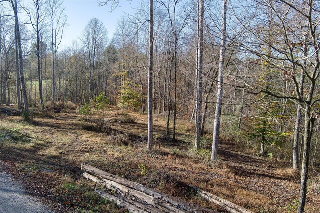 0 Crouch Rd, Sparta, TN 38583 - photo 25