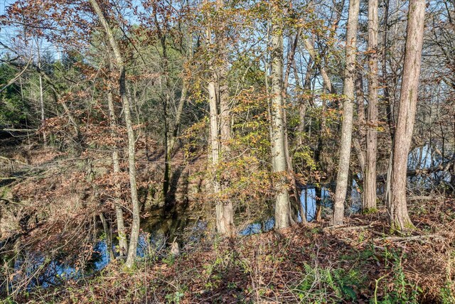 0 Crouch Rd, Sparta, TN 38583 - photo 23