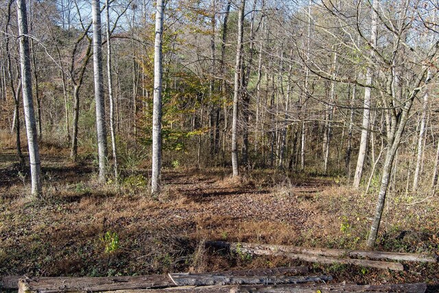 0 Crouch Rd, Sparta, TN 38583 - photo 24