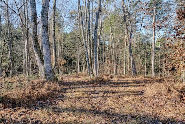 0 Crouch Rd, Sparta, TN 38583 - photo 20