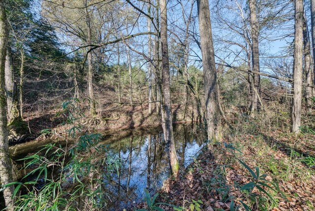 0 Crouch Rd, Sparta, TN 38583 - photo 22