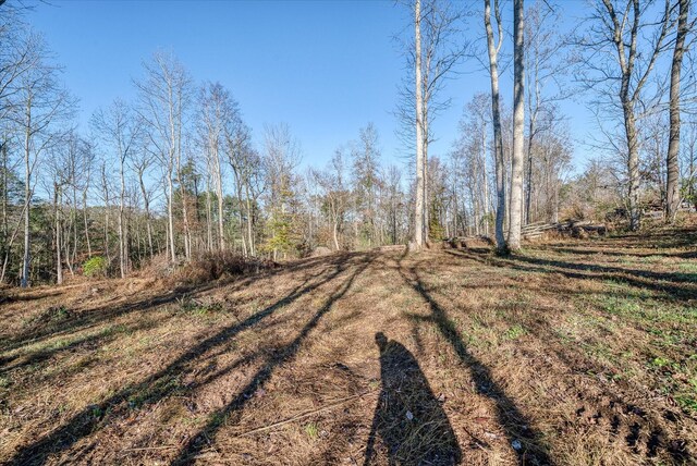 0 Crouch Rd, Sparta, TN 38583 - photo 19