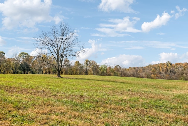 view of yard with a rural view