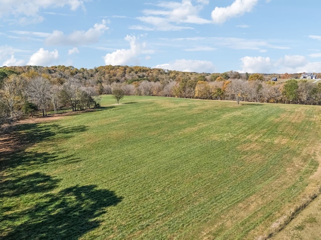 view of yard featuring a rural view