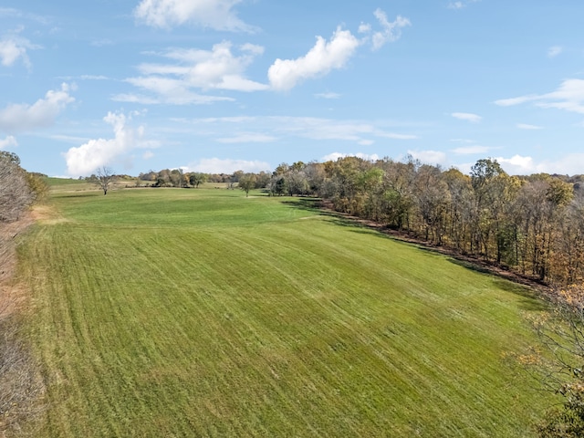 view of yard with a rural view