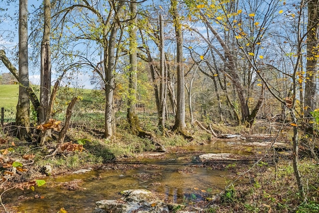 view of landscape