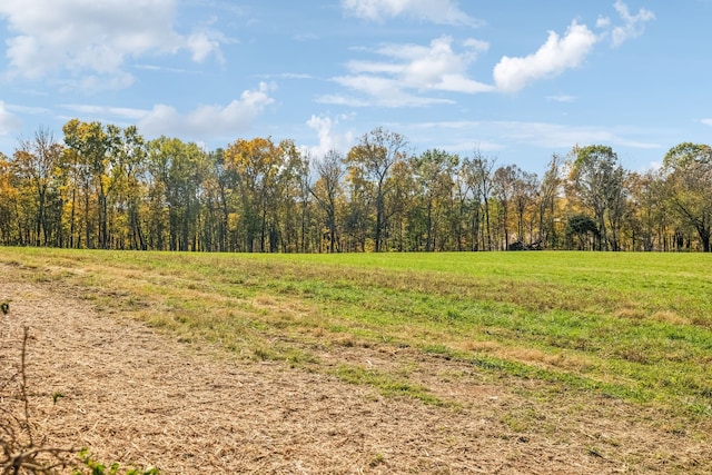 view of local wilderness featuring a rural view