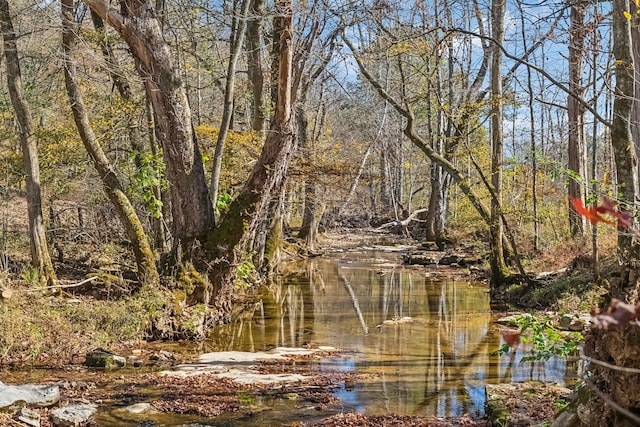 view of local wilderness