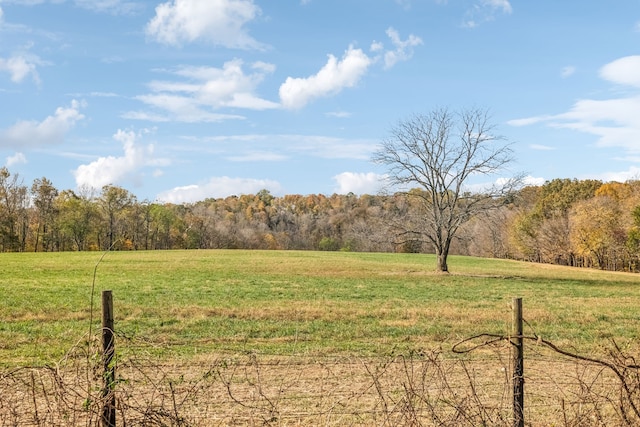 view of yard featuring a rural view